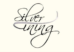 silverlininglogoforweb.jpg